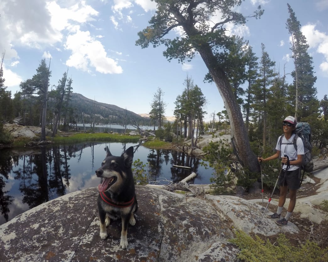 Shylie's Last Hurrah: Backpacking in the Desolation Wilderness for an Old Dog